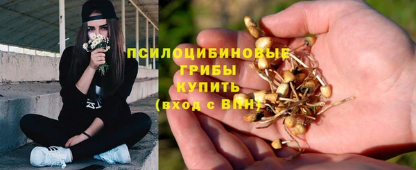 каннабис Арсеньев